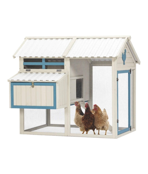 chicken coops with Removable Bottom