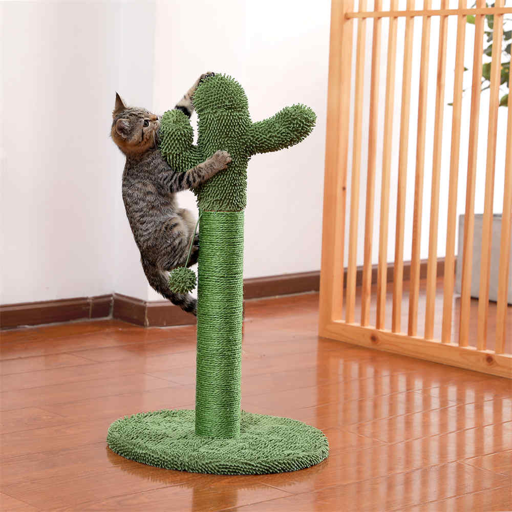Cat scratching boards and climbing frames are important for cats！ - Blog - 1