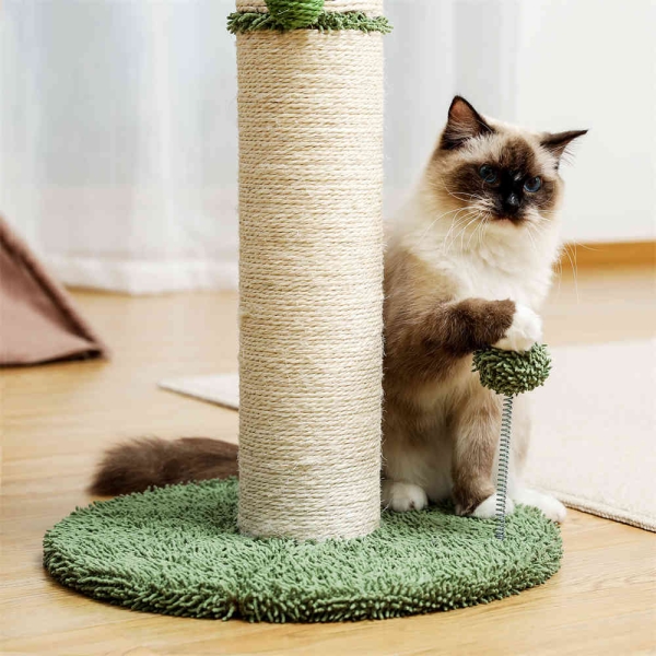 How to train your cat to use a cat climbing frame