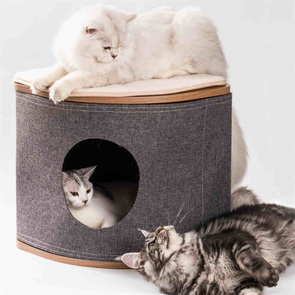 Pet Indoor Home Guide! Hurry up and buy for your pet!