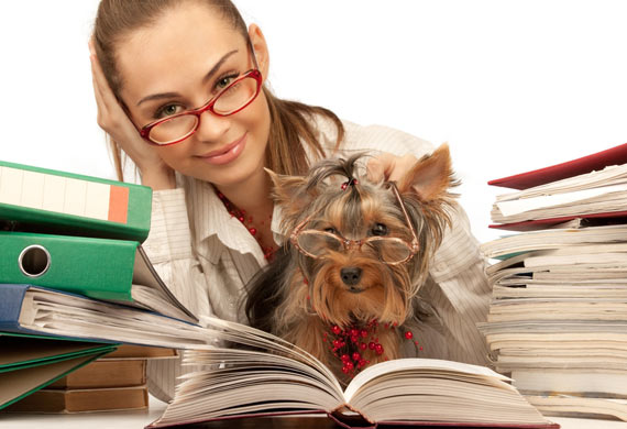 Have you ever thought about bringing your pet into the workplace? - Blog - 3
