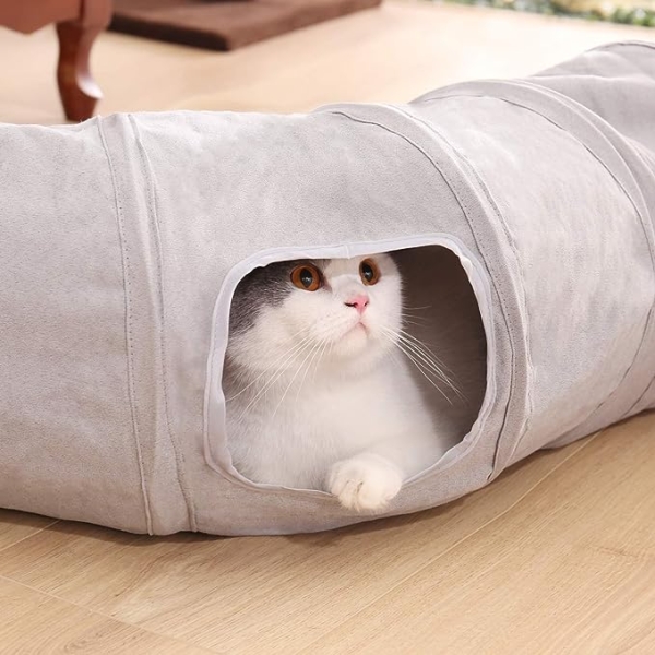 Cat tunnel A godsend for improving your cat’s personality