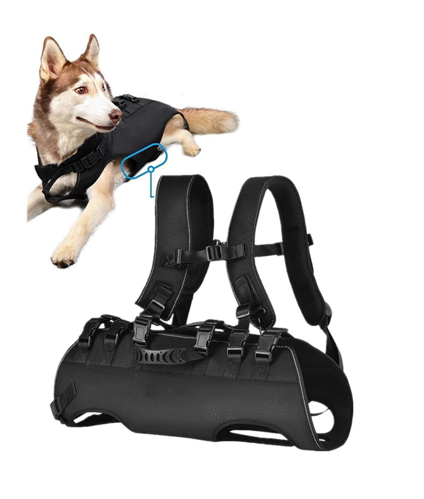 The dog vest harness how to choose and use? - Blog - 4