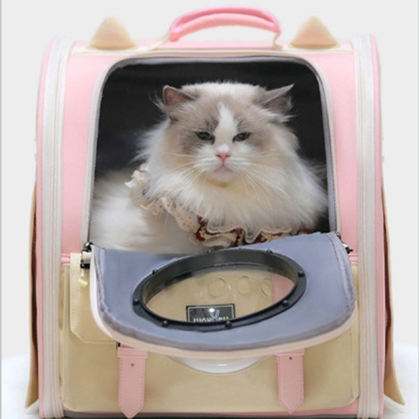 Best Space Capsule Cat Bag