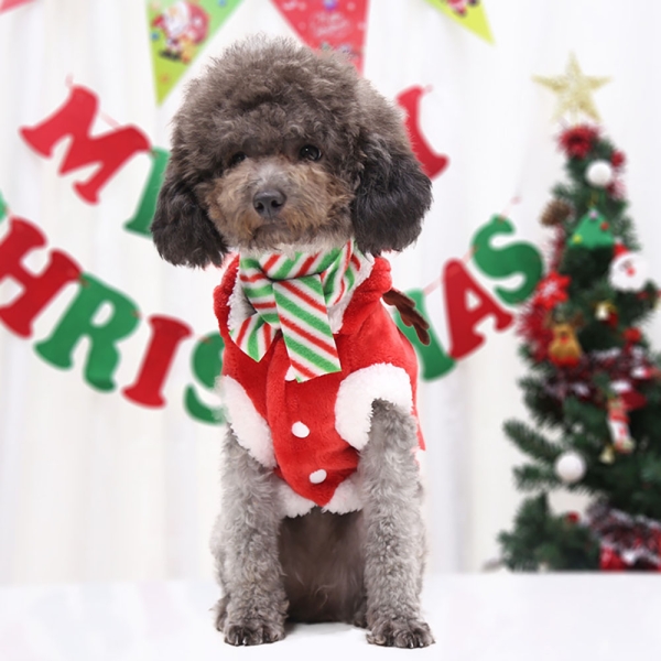 Dog christmas costume Autumn and winter outfit with fabric materials