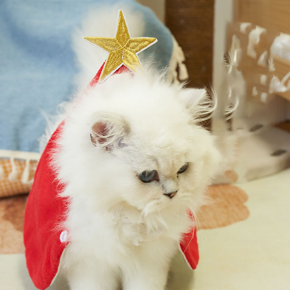 Christmas outfits for cats with velvet - Cat Apparel - 3
