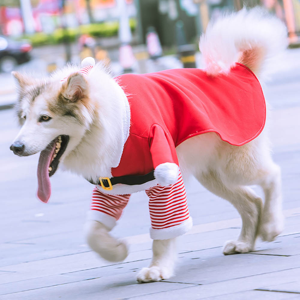 Dog christmas clothing with plush - Dog Apparel - 4